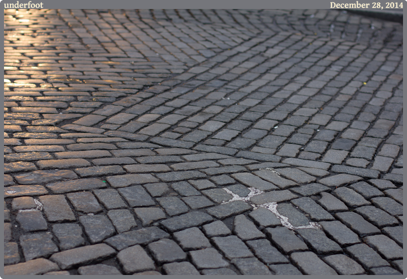 underfoot, taken 2014-12-28 || Canon Canon EOS REBEL T2i | 50mm | 1/50s @ f/2.5