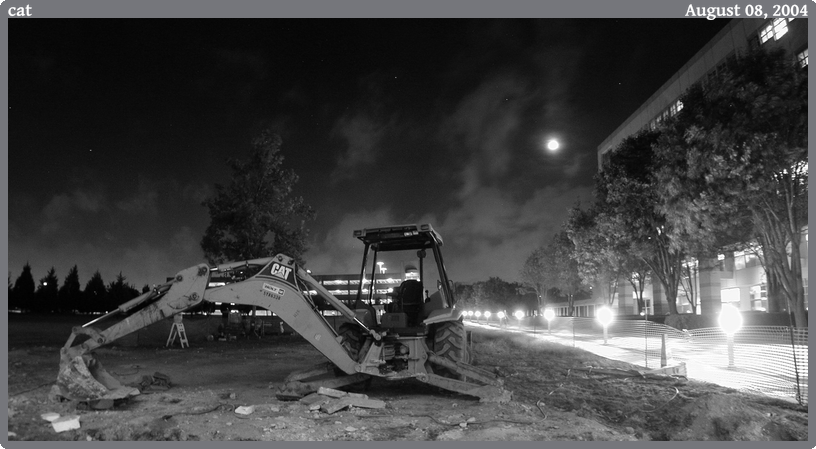 cat, taken 2004-08-08 || NIKON E950 | 7.2 | 1/1s @ f/2.6