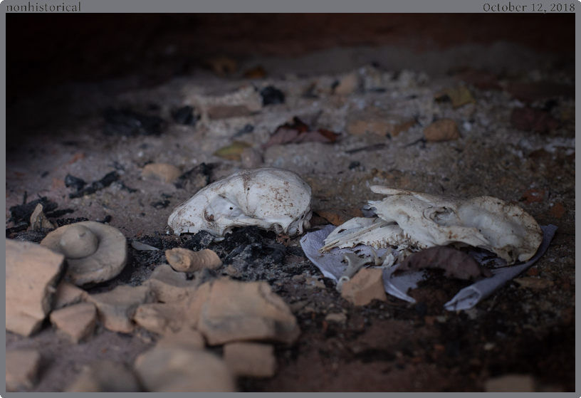 nonhistorical, taken 2018-10-12 || Canon Canon EOS 6D | 50mm | 1/160s @ f/5