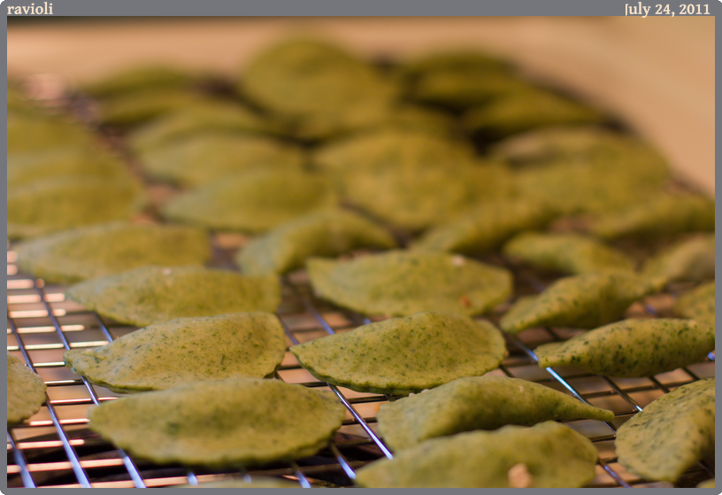 ravioli, taken 2011-07-24 || Canon Canon EOS REBEL T2i | 50mm | 1/30s @ f/2.5