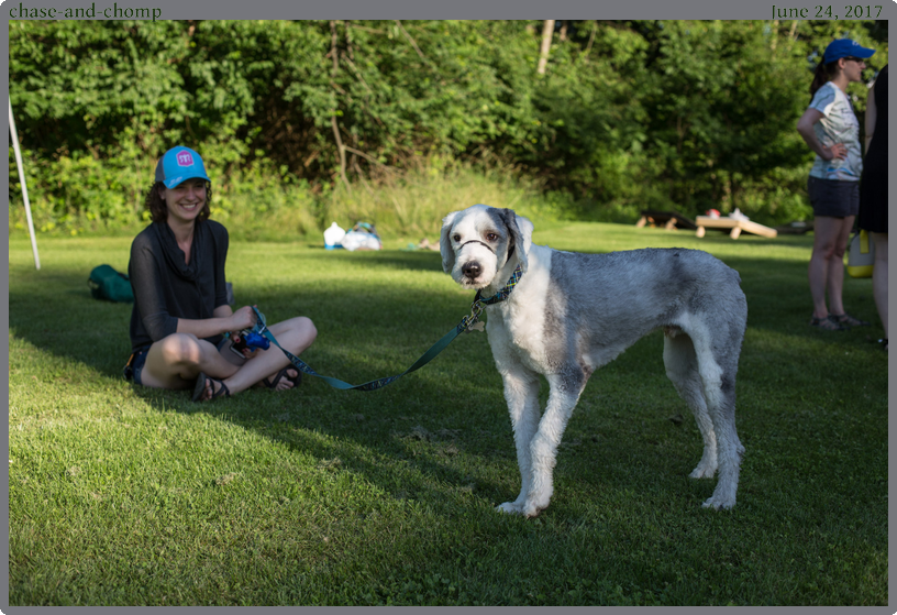 chase-and-chomp, taken 2017-06-24 || Canon Canon EOS 6D | 50mm | 1/400s @ f/4