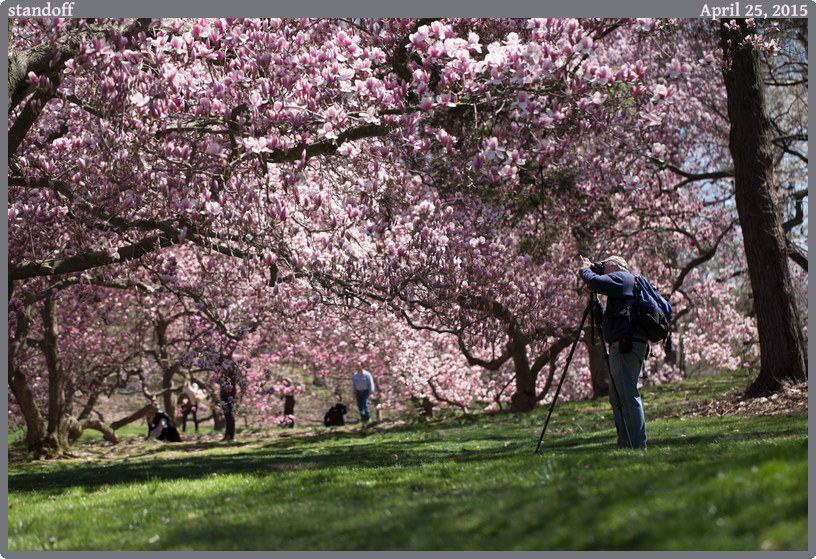 standoff, taken 2015-04-25 || Canon Canon EOS 6D | 100mm | 1/500s @ f/4