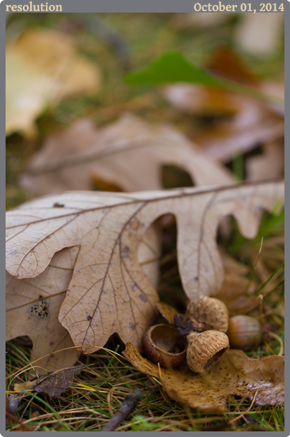 resolution, taken 2014-10-01 || Canon Canon EOS REBEL T2i | 100mm | 1/80s @ f/2.8