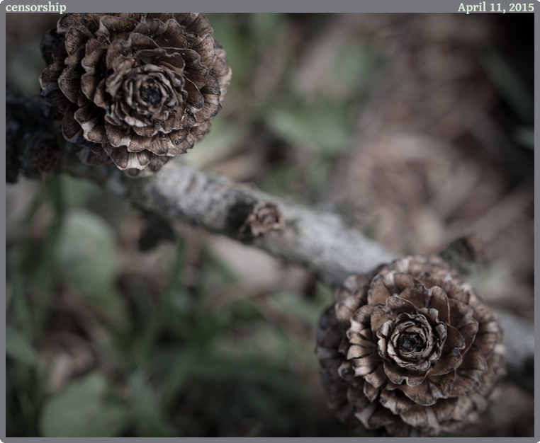 censorship, taken 2015-04-11 || Canon Canon EOS 6D | 100mm | 1/60s @ f/5