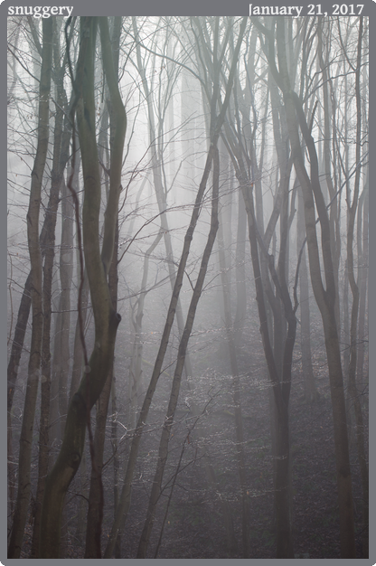 snuggery, taken 2017-01-21 || Canon Canon EOS 6D | 100mm | 1/200s @ f/3.2