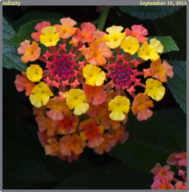 infinity, taken 2013-09-19 || Canon Canon EOS REBEL T2i | 50mm | 1/80s @ f/6.3