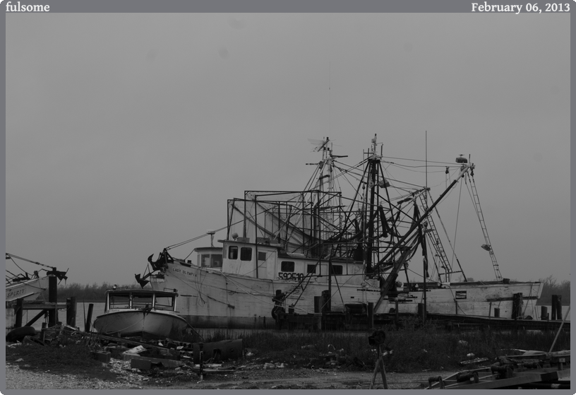 fulsome, taken 2013-02-06 || Canon Canon EOS REBEL T2i | 55mm | 1/40s @ f/10