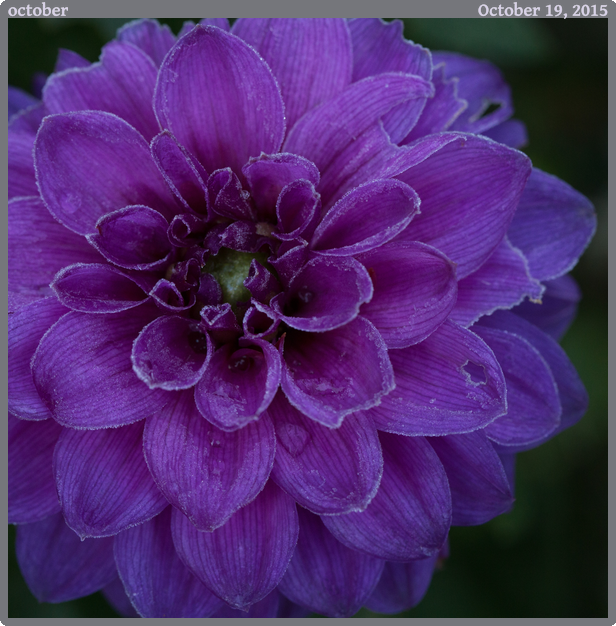 october, taken 2015-10-19 || None None | None | None @ None