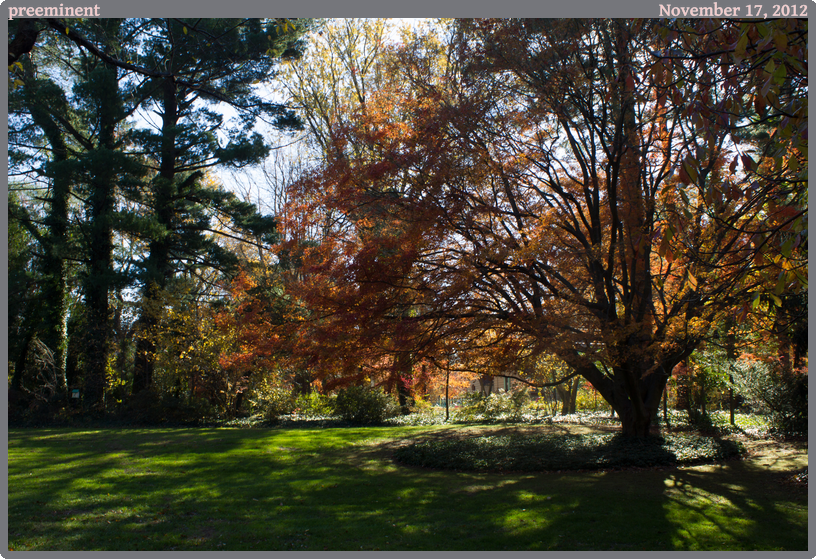 preeminent, taken 2012-11-17 || Canon Canon EOS REBEL T2i | 21mm | 1/30s @ f/10