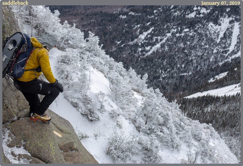saddleback, taken 2019-01-07 || Canon Canon EOS 6D | 50mm | 1/100s @ f/9