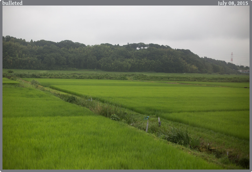 bulleted, taken 2015-07-08 || Canon Canon EOS 6D | 50mm | 1/4000s @ f/2.2