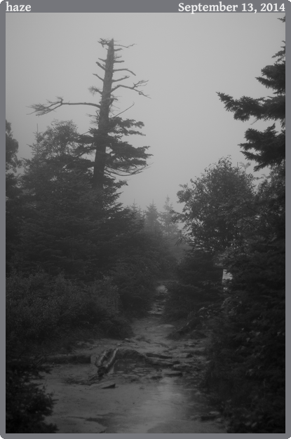 haze, taken 2014-09-13 || Canon Canon EOS REBEL T2i | 50mm | 1/250s @ f/1.4