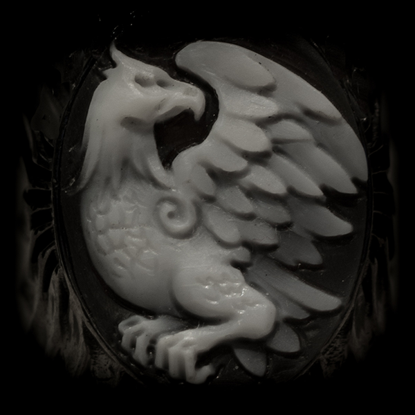 patriot, taken 2013-12-29 || Canon Canon EOS REBEL T2i | 100mm | 1/6s @ f/5