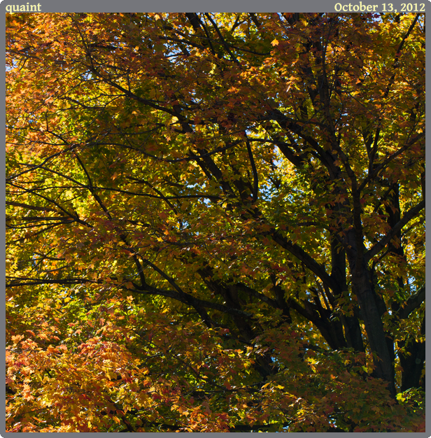 quaint, taken 2012-10-13 || Canon Canon EOS REBEL T2i | 100mm | 1/200s @ f/7.1