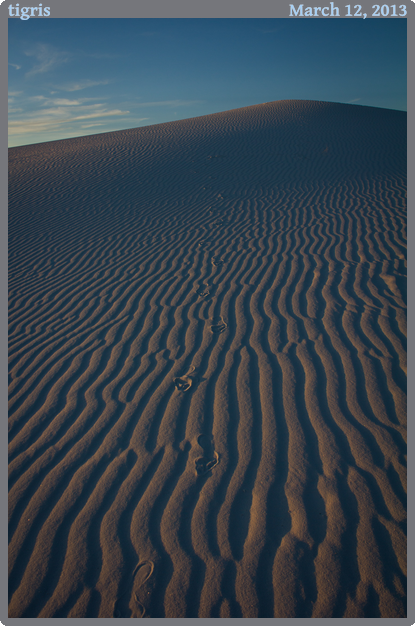 tigris, taken 2013-03-12 || Canon Canon EOS REBEL T2i | 18mm | 1/160s @ f/7.1