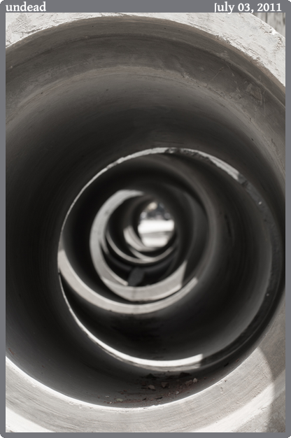 undead, taken 2011-07-03 || Canon Canon EOS REBEL T2i | 100mm | 1/125s @ f/7.1