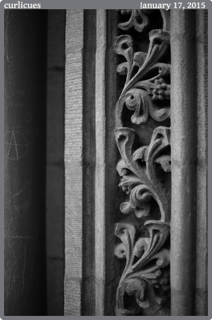 curlicues, taken 2015-01-17 || Canon Canon EOS 6D | 50mm | 1/80s @ f/1.6