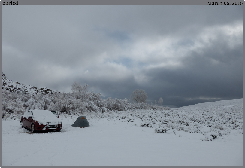 buried, taken 2018-03-06 || Panasonic DC-ZS200 | 88mm | 1/1600s @ f/5.6 buried, taken 2018-03-06 || Panasonic DC-ZS200 | 88mm | 1/1600s @ f/5.6