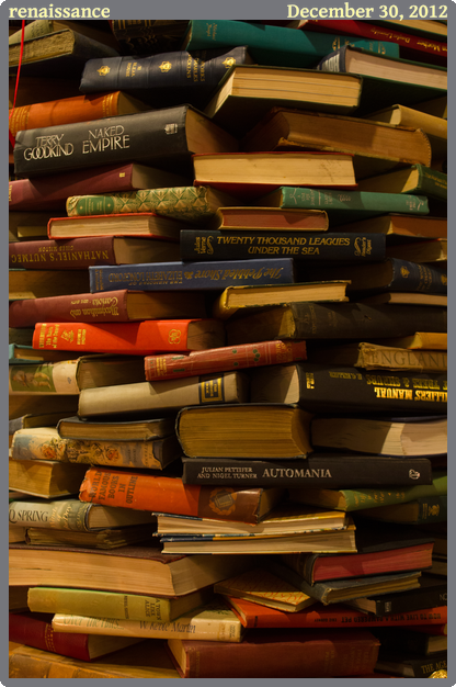 renaissance, taken 2012-12-30 || Canon Canon EOS REBEL T2i | 33mm | 1/13s @ f/4.5