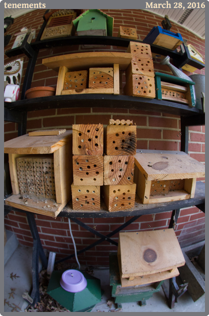 tenements, taken 2016-03-28 || Canon Canon EOS REBEL T2i | 10mm | 1/500s @ f/2.8