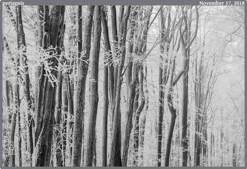 periapsis, taken 2018-11-17 || Canon Canon EOS 6D | 100mm | 1/125s @ f/4.5