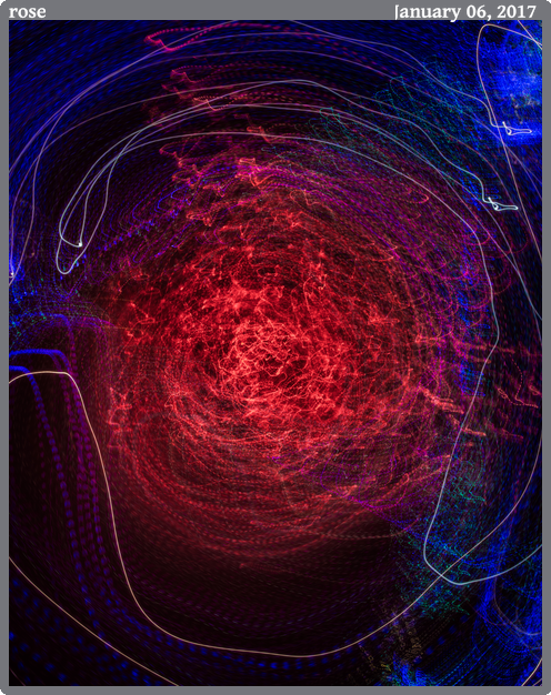 rose, taken 2017-01-06 || Canon Canon EOS 6D | 24mm | 4s @ f/16