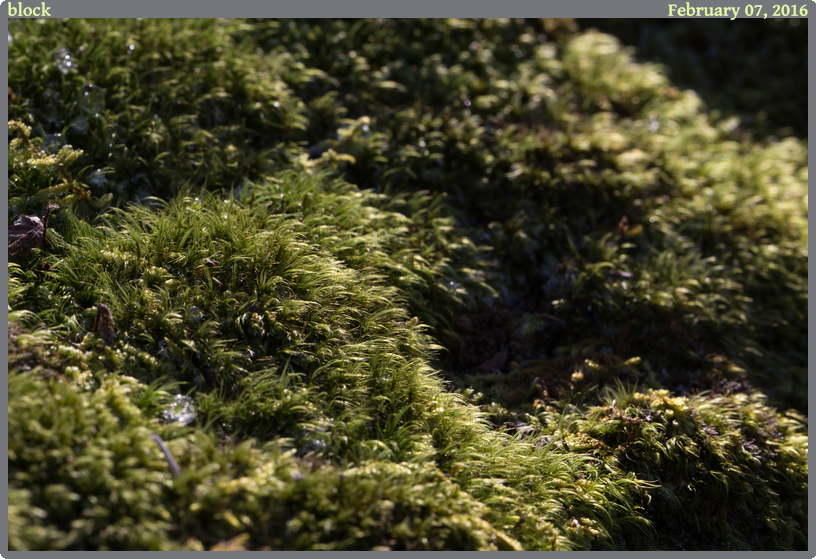 block, taken 2016-02-07 || None None | None | None @ None