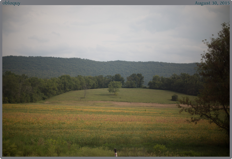obloquy, taken 2015-08-30 || None None | None | None @ None