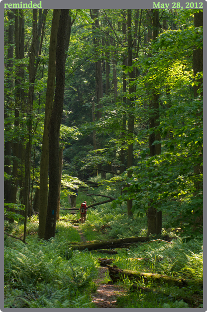 reminded, taken 2012-05-28 || Canon Canon EOS REBEL T2i | 100mm | 1/80s @ f/7.1