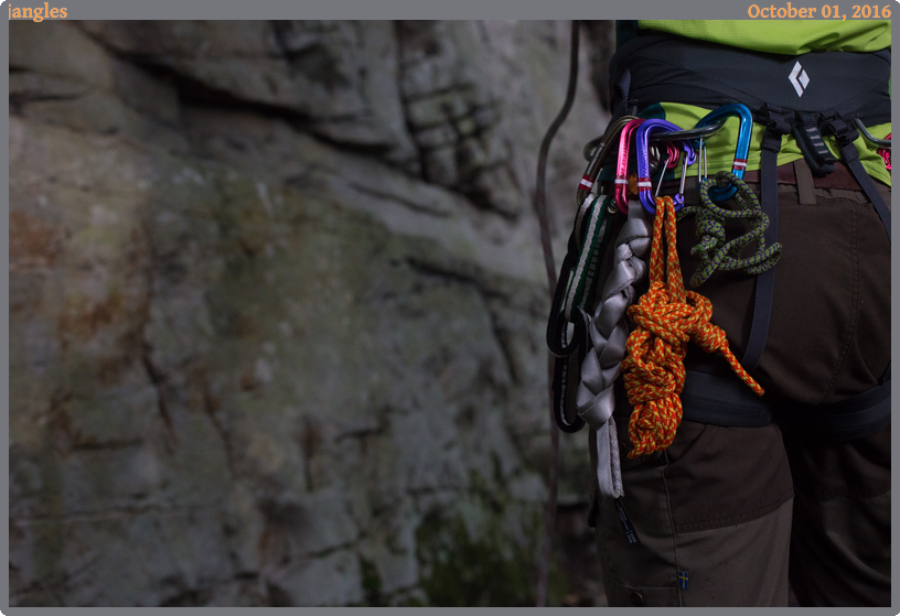 jangles, taken 2016-10-01 || Canon Canon EOS 6D | 50mm | 1/320s @ f/4.5