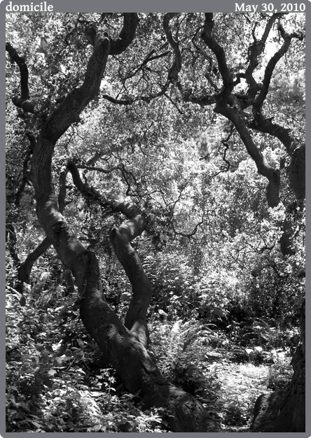 domicile, taken 2010-05-30 || Canon Canon EOS REBEL T2i | 29 | 1/80s @ f/4.5