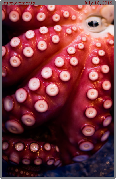 improvements, taken 2015-07-10 || Canon Canon EOS 6D | 100mm | 1/80s @ f/2.8