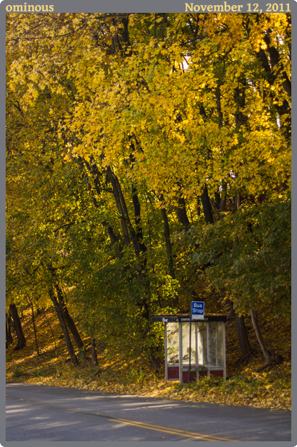 ominous, taken 2011-11-12 || Canon Canon EOS REBEL T2i | 50mm | 1/1250s @ f/1.4