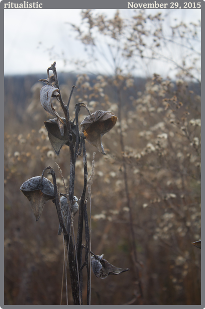 ritualistic, taken 2015-11-29 || None None | None | None @ None