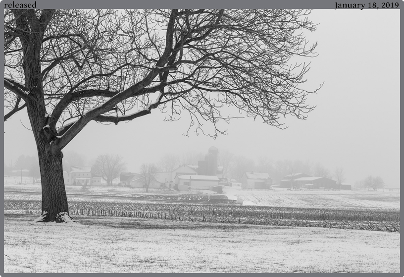 released, taken 2019-01-18 || Canon Canon EOS 6D | 100mm | 1/640s @ f/10