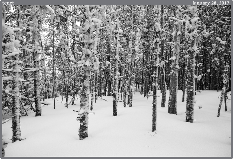 tenet, taken 2017-01-28 || Canon Canon EOS 6D | 24mm | 1/160s @ f/5