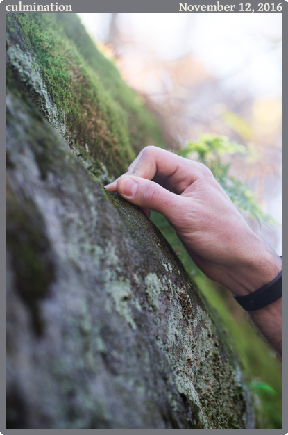 culmination, taken 2016-11-12 || Canon Canon EOS 6D | 100mm | 1/60s @ f/4