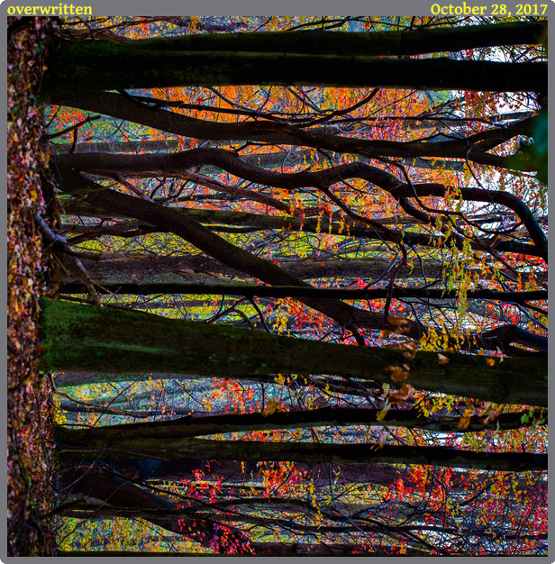 overwritten, taken 2017-10-28 || Canon Canon EOS 6D | 100mm | 1/200s @ f/3.5