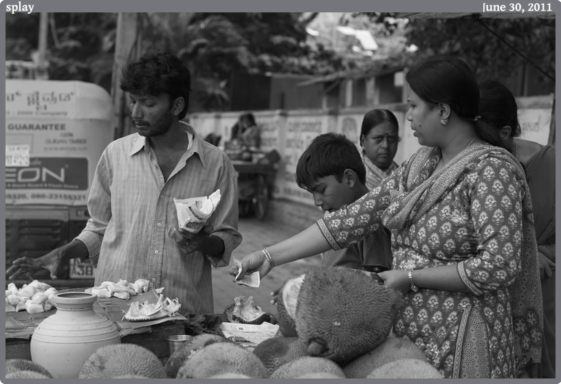 splay, taken 2011-06-30 || Canon Canon EOS REBEL T2i | 50mm | 1/250s @ f/3.5