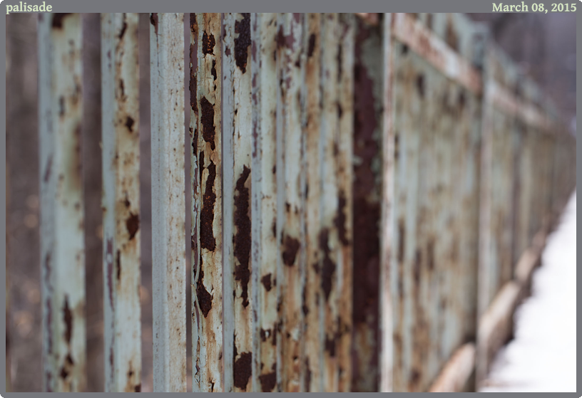 palisade, taken 2015-03-08 || Canon Canon EOS 6D | 100mm | 1/250s @ f/6.3