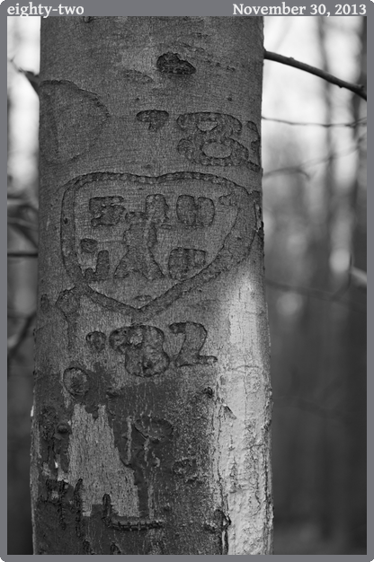 eighty-two, taken 2013-11-30 || Canon Canon EOS REBEL T2i | 50mm | 1/160s @ f/3.5