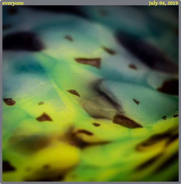 everyone, taken 2019-07-04 || Canon Canon EOS 6D | 100mm | 1/40s @ f/2.8