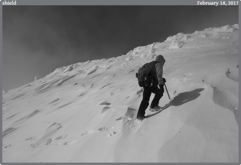 shield, taken 2017-02-18 || Canon Canon EOS 6D | 24mm | 1/1000s @ f/14