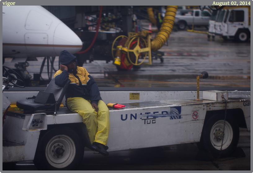 vigor, taken 2014-08-02 || Canon Canon EOS REBEL T2i | 100mm | 1/200s @ f/2.8