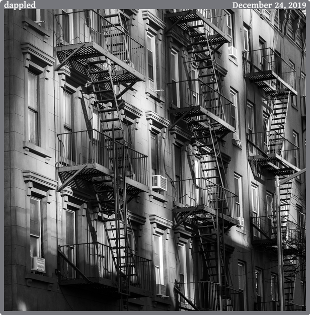 dappled, taken 2019-12-24 || Canon Canon EOS 6D | 100mm | 1/800s @ f/5