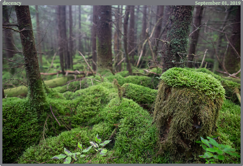 decency, taken 2019-09-01 || Canon Canon EOS 6D | 24mm | 1/60s @ f/3.2