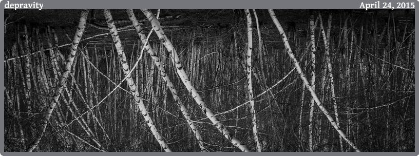 depravity, taken 2015-04-24 || Canon Canon EOS 6D | 100mm | 1/200s @ f/6.3