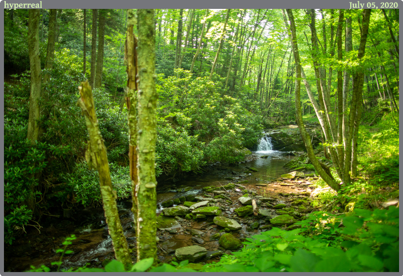 hyperreal, taken 2020-07-05 || Canon Canon EOS 6D | 24mm | 1/80s @ f/1.4