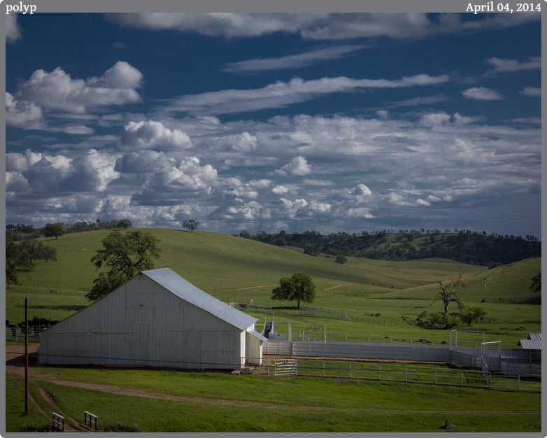 polyp, taken 2014-04-04 || Canon Canon EOS REBEL T2i | 55mm | 1/250s @ f/9