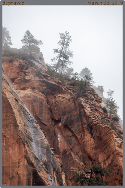 depraved, taken 2019-03-22 || Panasonic DC-ZS200 | 989mm | 1/200s @ f/6.4